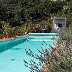 https://villa-shanti-marciana-isola-delba.it-tuscanyhotel.com